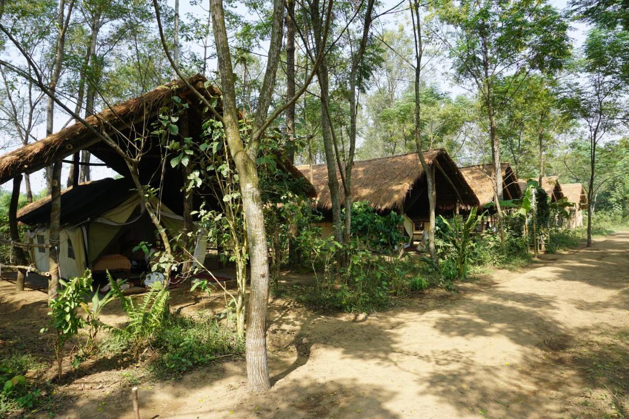 Tiger Tops Tharu Lodge Chitwan Dış mekan fotoğraf