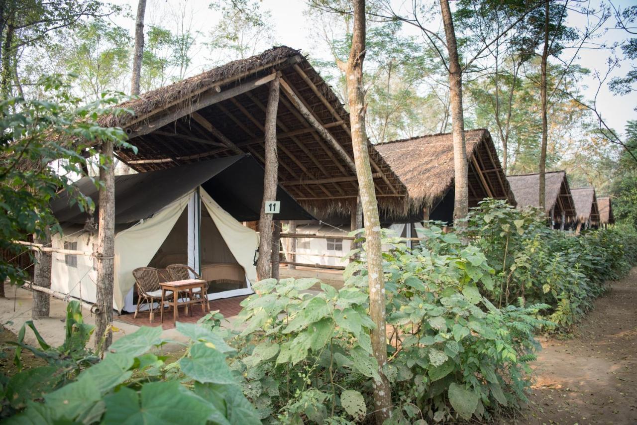 Tiger Tops Tharu Lodge Chitwan Dış mekan fotoğraf