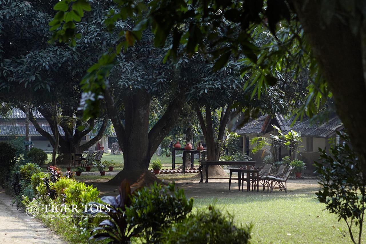 Tiger Tops Tharu Lodge Chitwan Dış mekan fotoğraf