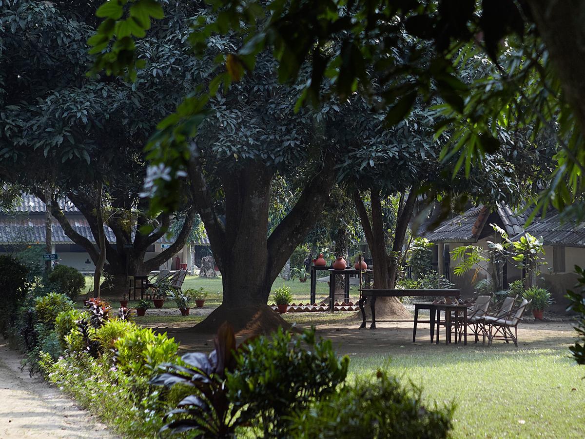 Tiger Tops Tharu Lodge Chitwan Dış mekan fotoğraf