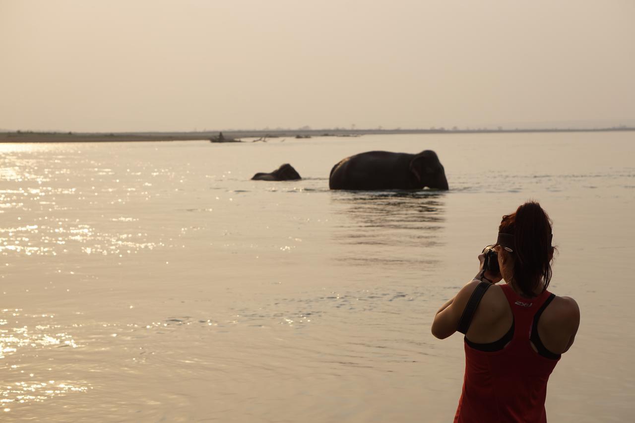 Tiger Tops Tharu Lodge Chitwan Dış mekan fotoğraf