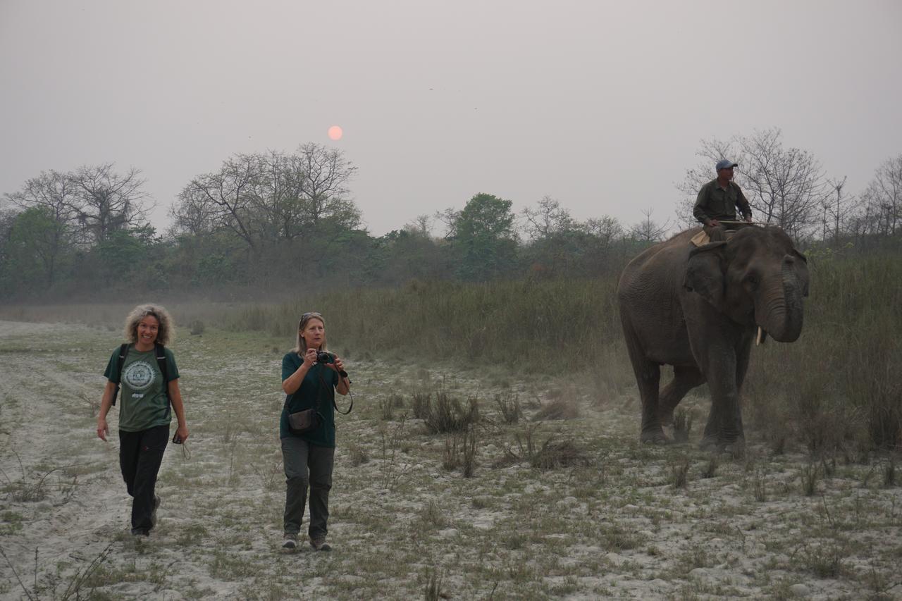 Tiger Tops Tharu Lodge Chitwan Dış mekan fotoğraf