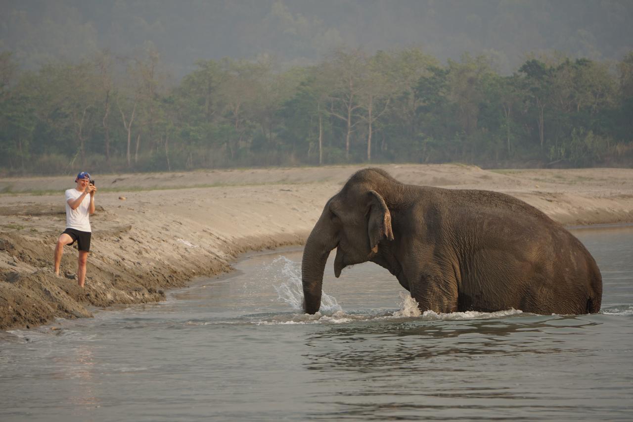 Tiger Tops Tharu Lodge Chitwan Dış mekan fotoğraf
