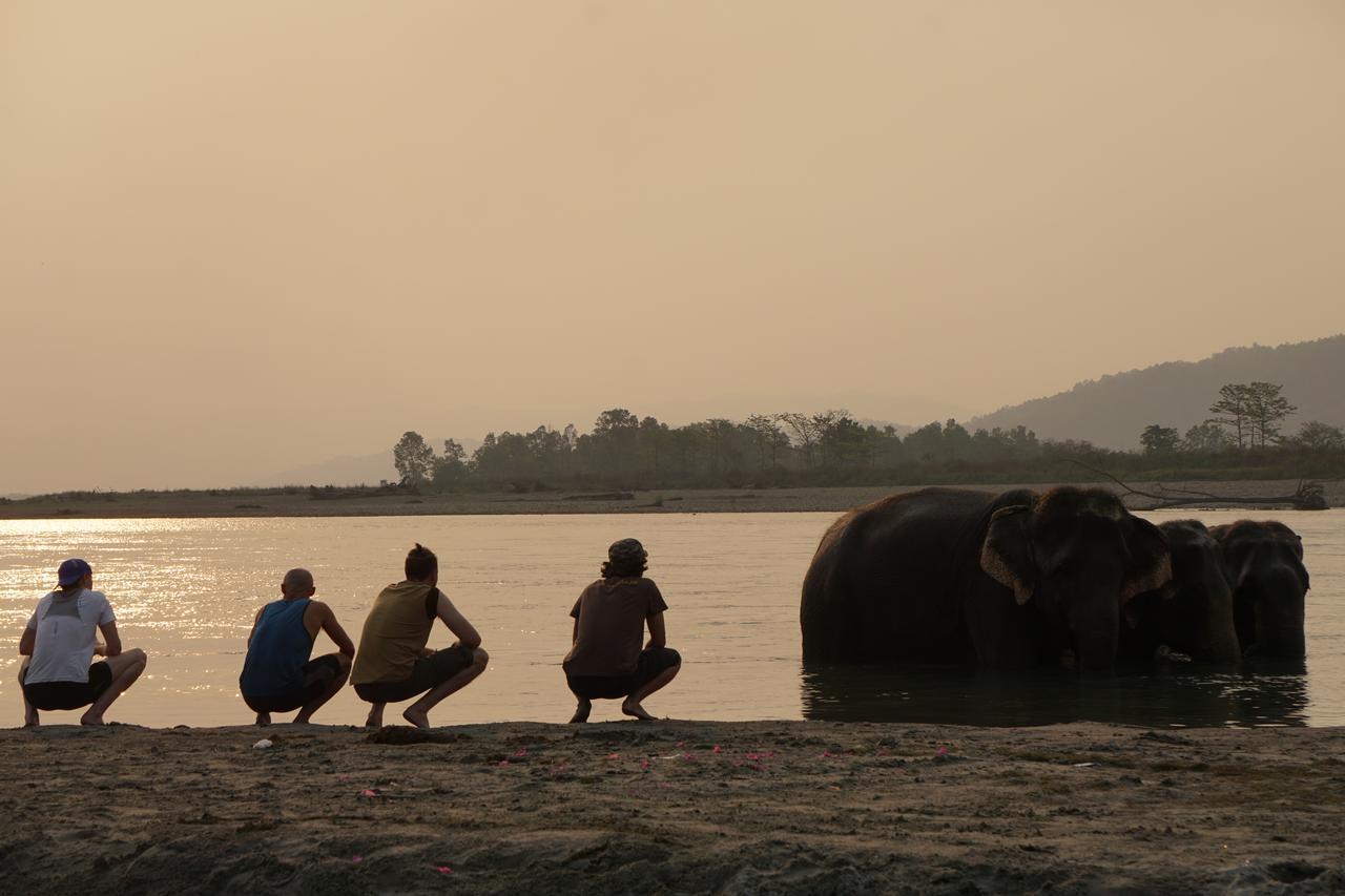 Tiger Tops Tharu Lodge Chitwan Dış mekan fotoğraf