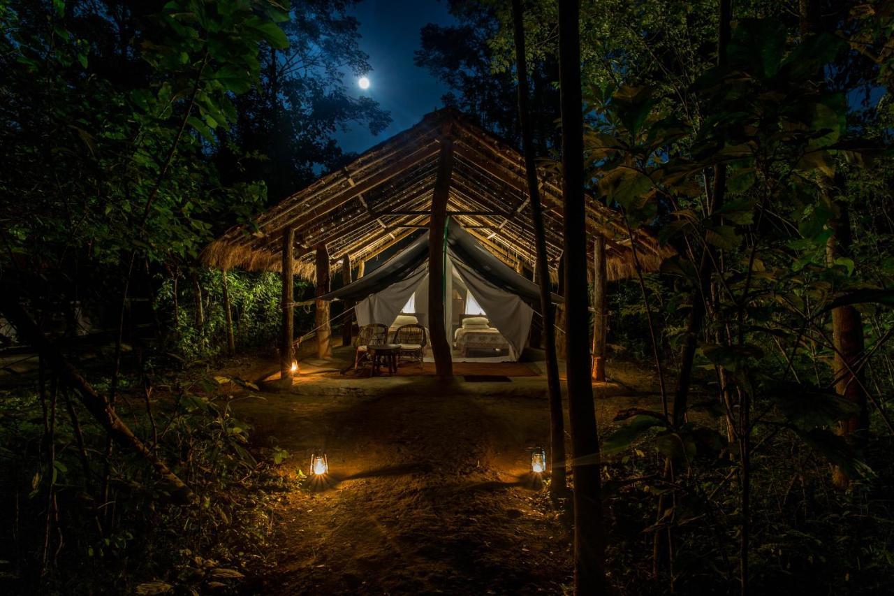 Tiger Tops Tharu Lodge Chitwan Dış mekan fotoğraf