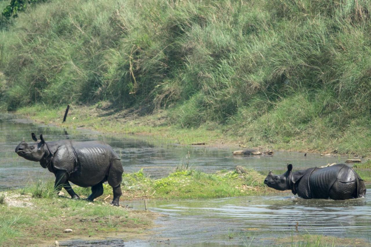 Tiger Tops Tharu Lodge Chitwan Dış mekan fotoğraf