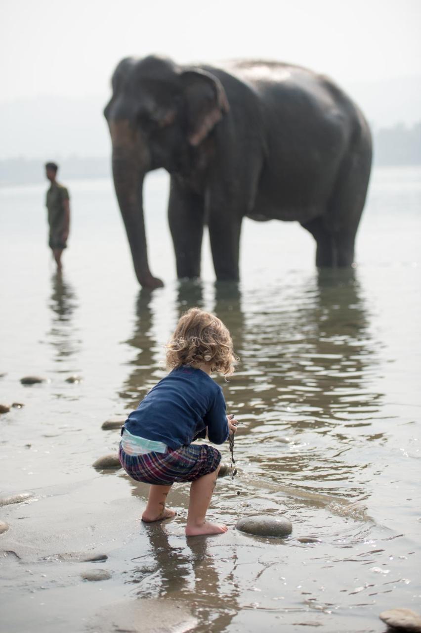 Tiger Tops Tharu Lodge Chitwan Dış mekan fotoğraf
