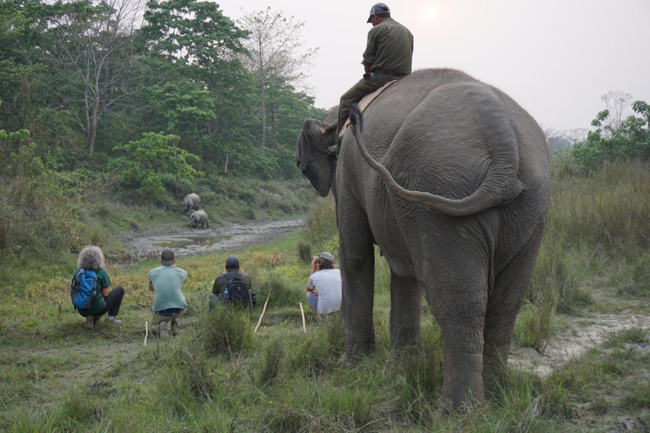 Tiger Tops Tharu Lodge Chitwan Dış mekan fotoğraf